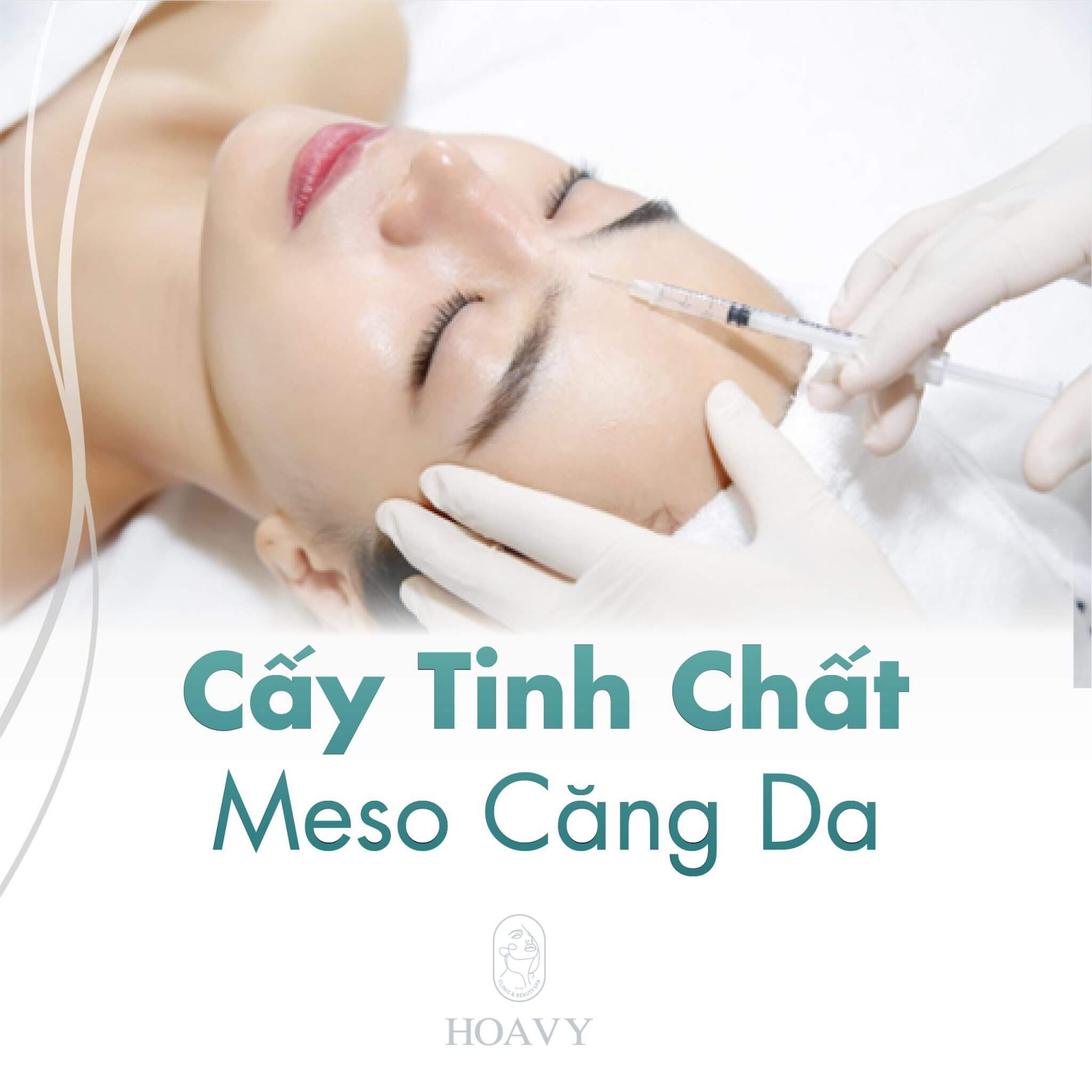 cay tinh chat cang da tai hai phong