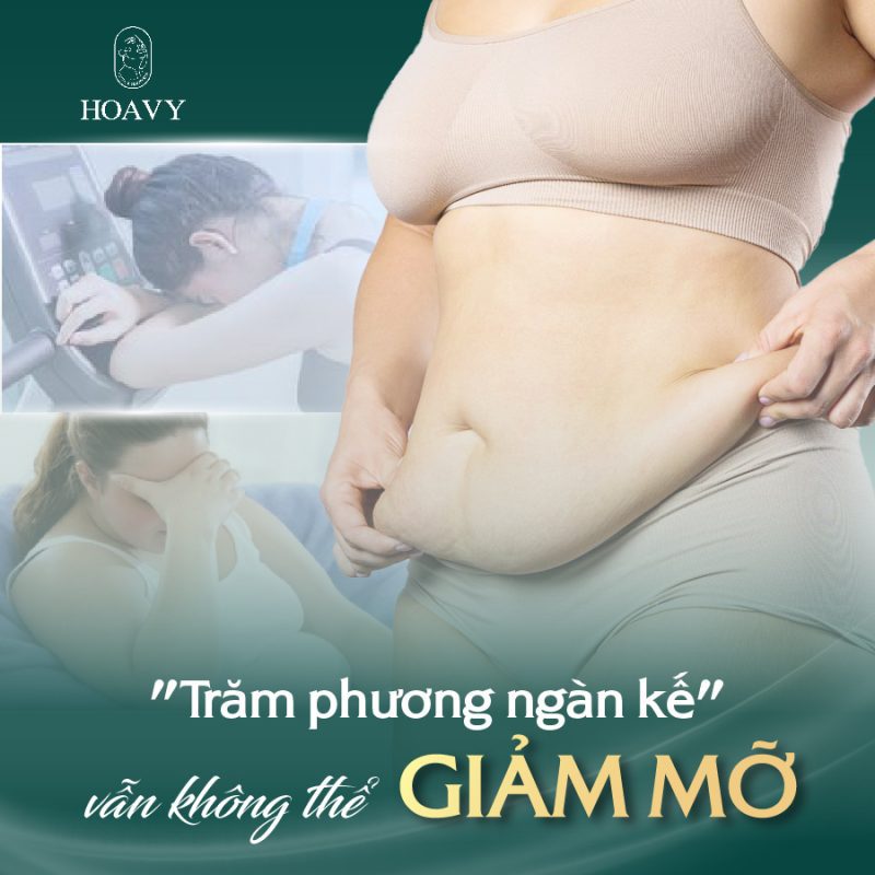 Can tim dia chi hut mo bung Hai Phong